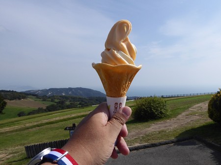 念の為、抑えときました。