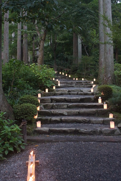 京都 大原三千院 万灯会 写真共有サイト フォト蔵