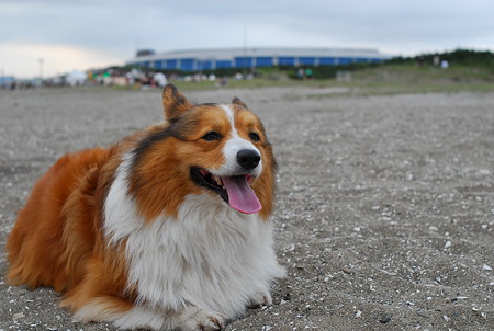 DSC_0028