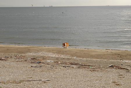 DSC_0155