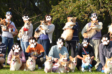 DSC_6171_edited-1