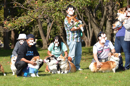 DSC_5726_edited-1