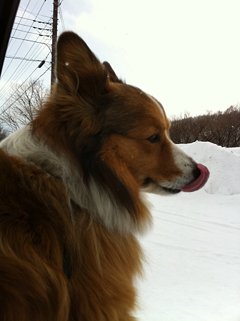 写真 4