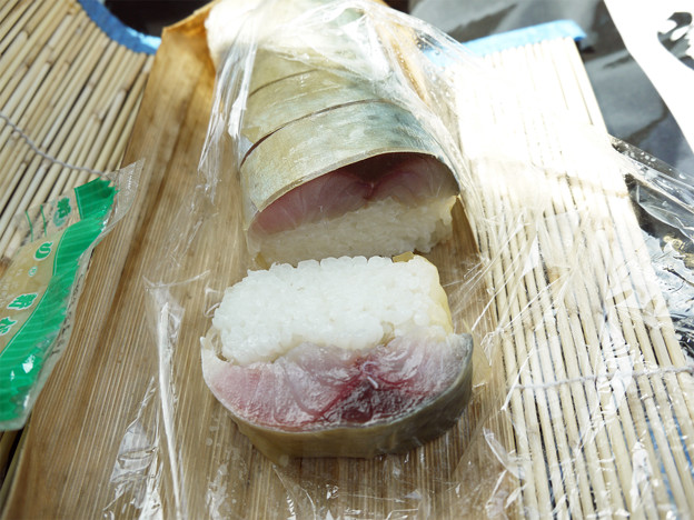 鬼鯖(2)