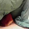 Photos: 2011020120440000