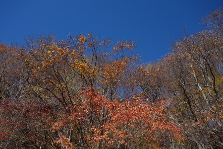 DSC06985