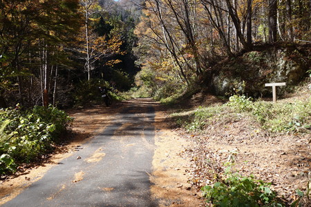DSC07066