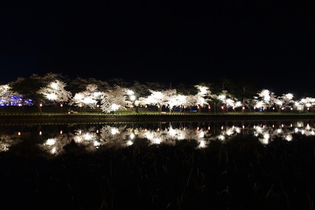DSC00646