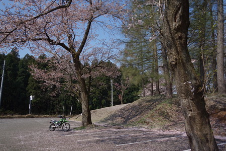 DSC00774