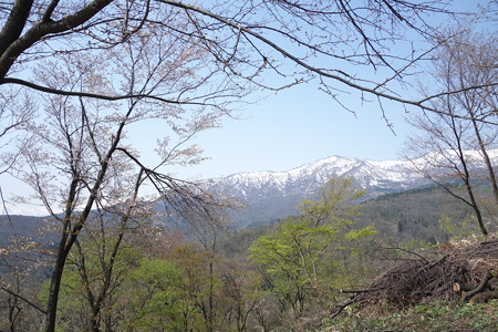 DSC00807
