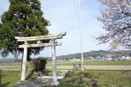 DSC00859
