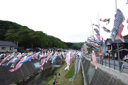 DSC01251