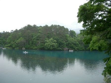 bisyamon1