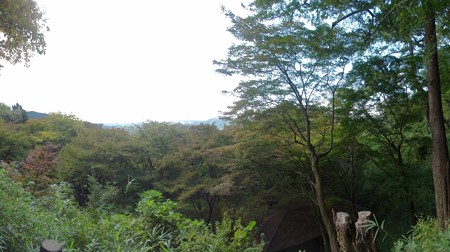 kasagitera_p03