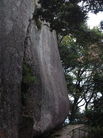 kasagitera37