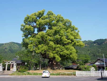 honjounoookusu04