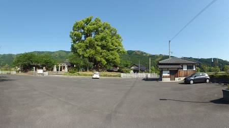 honjounoookusu_p1