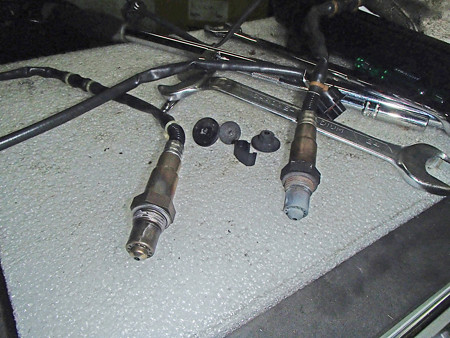 P8100159S