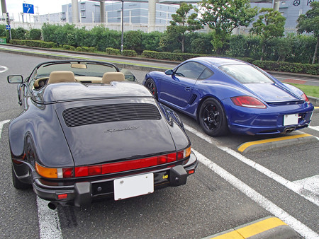 P8240184S