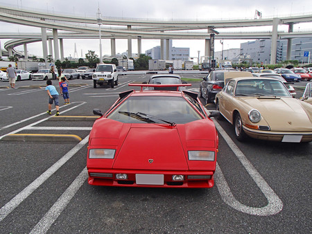 P8310196S