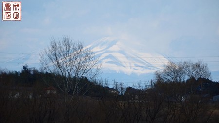 渡良瀬遊水地02