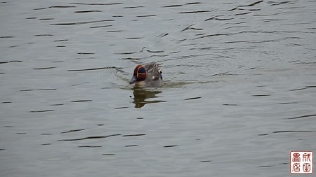 大池親水公園04
