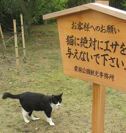 高札とハナクロ