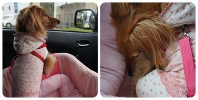 20120609 帰り道