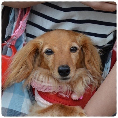 20120609 BBQ