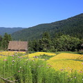 秋の五箇山相倉　合掌集落