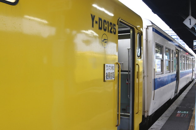 違う車両の連結が謎…。