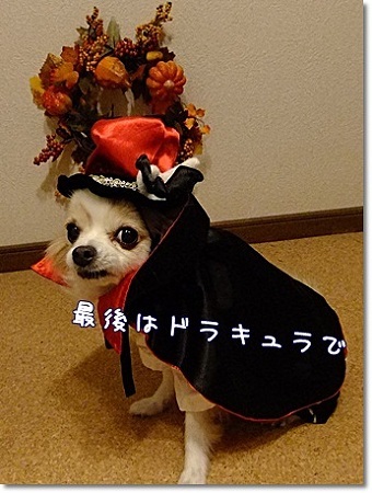 ドラキュラ