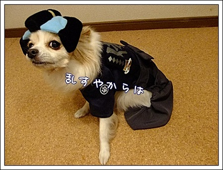 乱す