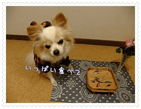 長生きしゅるぞ~