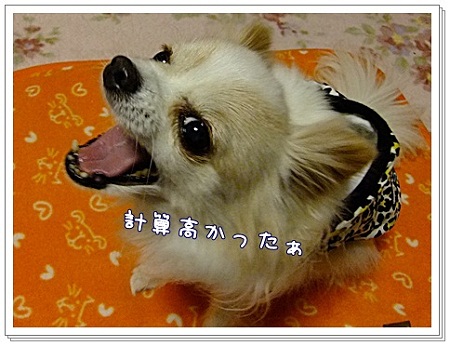 計算高かった