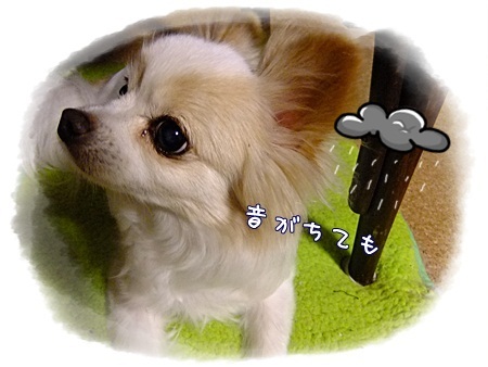 音