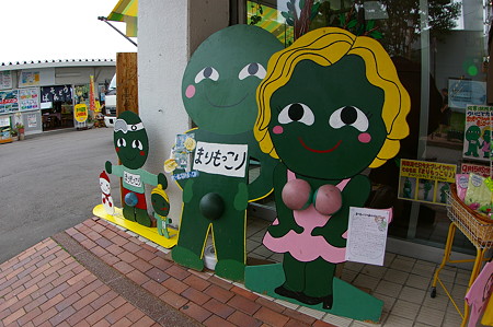 IMGP5359