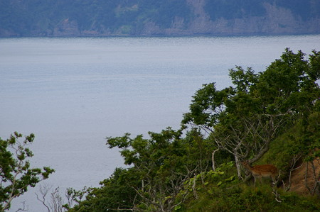 IMGP4400