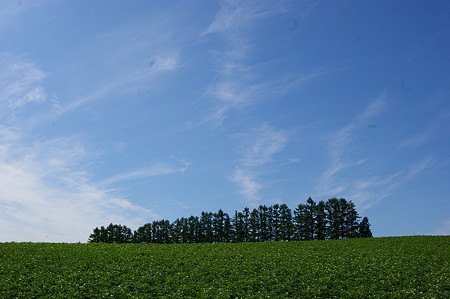 IMGP1485
