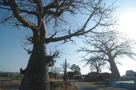 IMGP2494