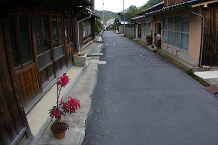 IMGP4867