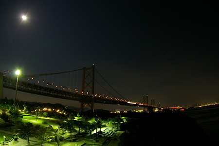 IMGP5394