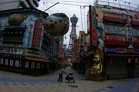 IMGP3281