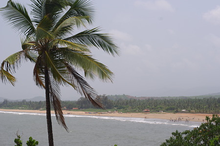 IMGP1578