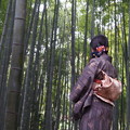 Photos: 竹取物語　2015