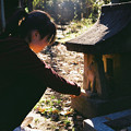 Photos: 聖天山_-稲荷祠_Rollei35_lomography100-010026