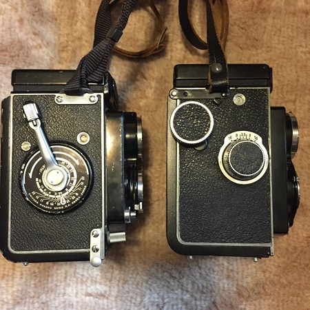 rolleicord