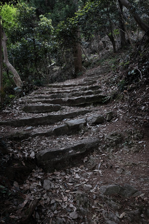 X70_-八王子城_10_神社への道-0568