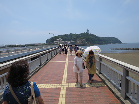 IMG_0809