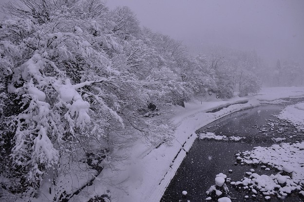 白川郷を流れる川 白銀の雪景色 写真共有サイト フォト蔵